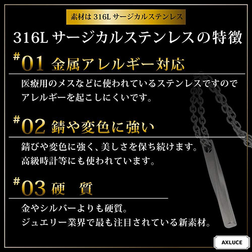 AXLUCE ネックレス メンズ アクセサリー ペンダント(シルバー) - 画像 (5)